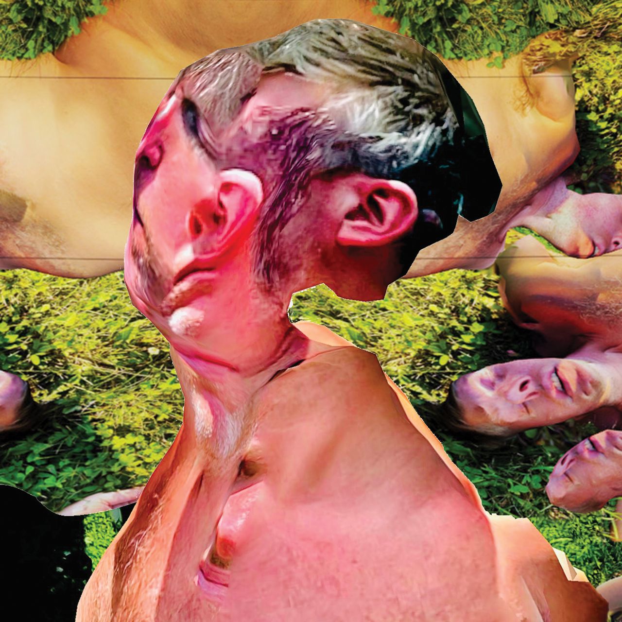 cringe wold cover art warped 3d scans of indek prink and flesh tones